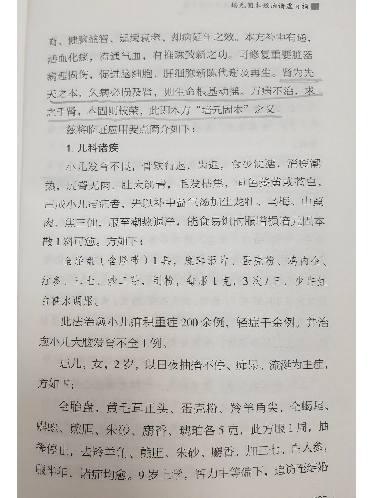 李可老中医的培元固本散