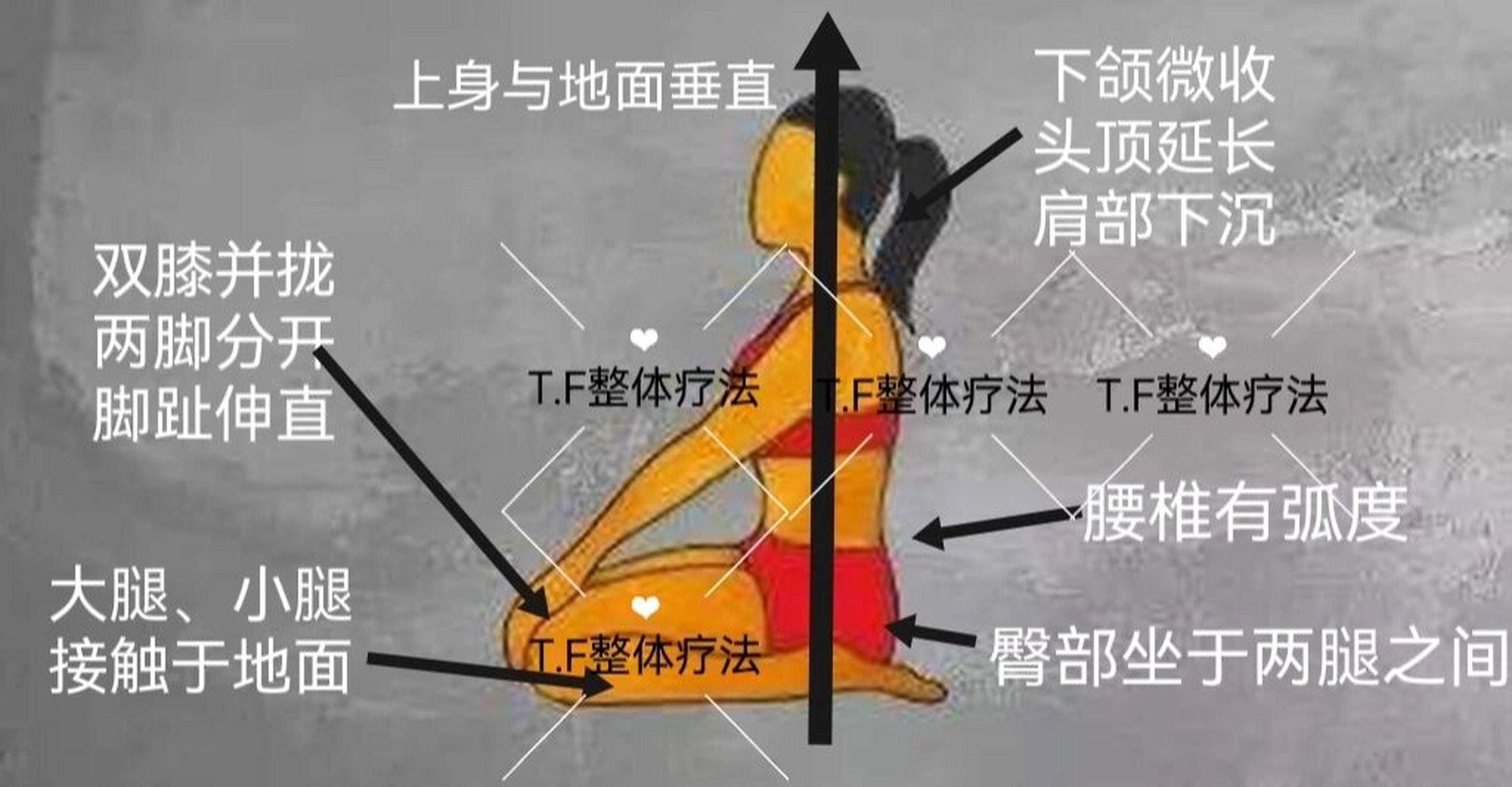 "金刚跪坐"可以疏通胃经,肝经,健脾消食,疏肝理气.