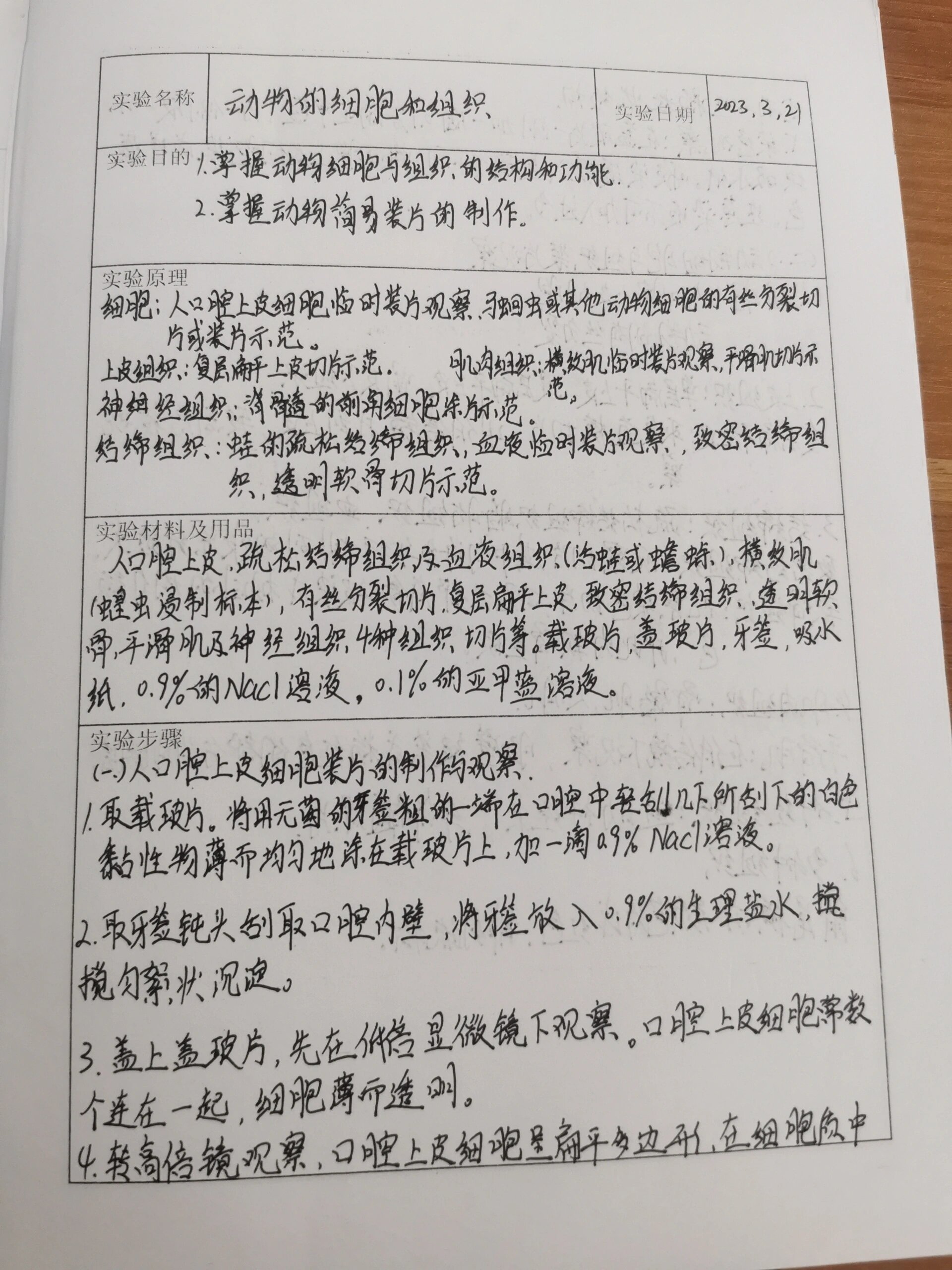 分享分享 实验报告真有趣 动物细胞和组织 大一最难画的图—鼠尾横切