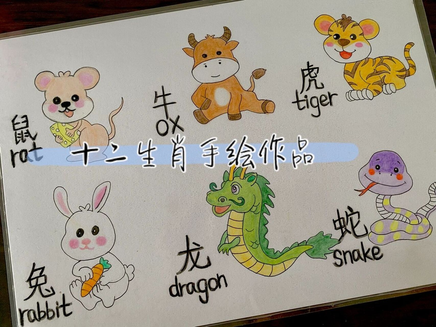 十二生肖英语单词手绘作品 1,rat 鼠 2,ox 牛 3,tiger虎 4,rabbit兔 5