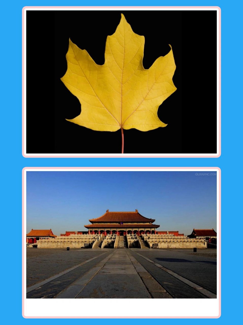 《有趣的对称》 03活动目标: 1,感知物体对称的基本特征,初步理解