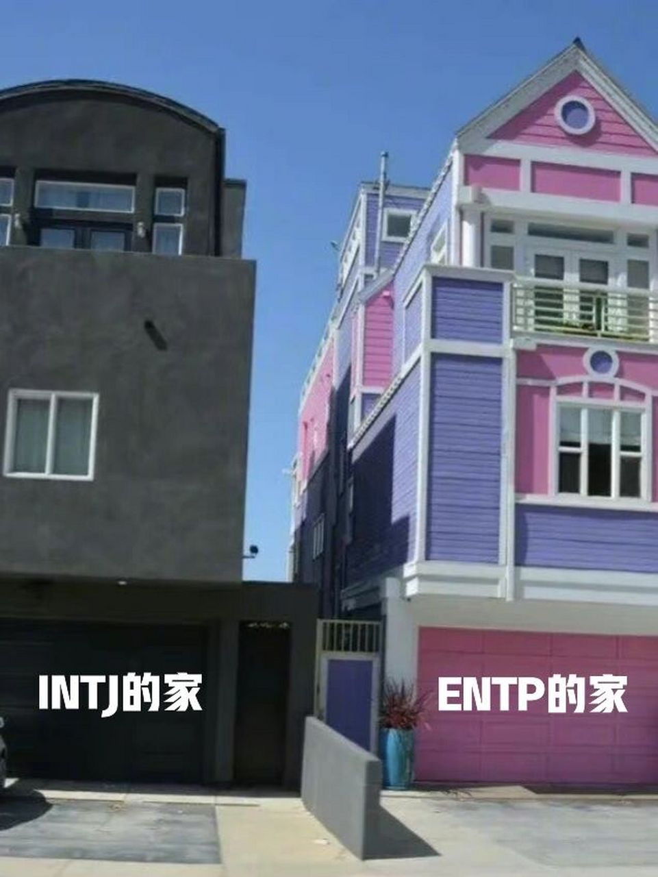 intj&entp:禁欲冰山与搞怪甜妹.