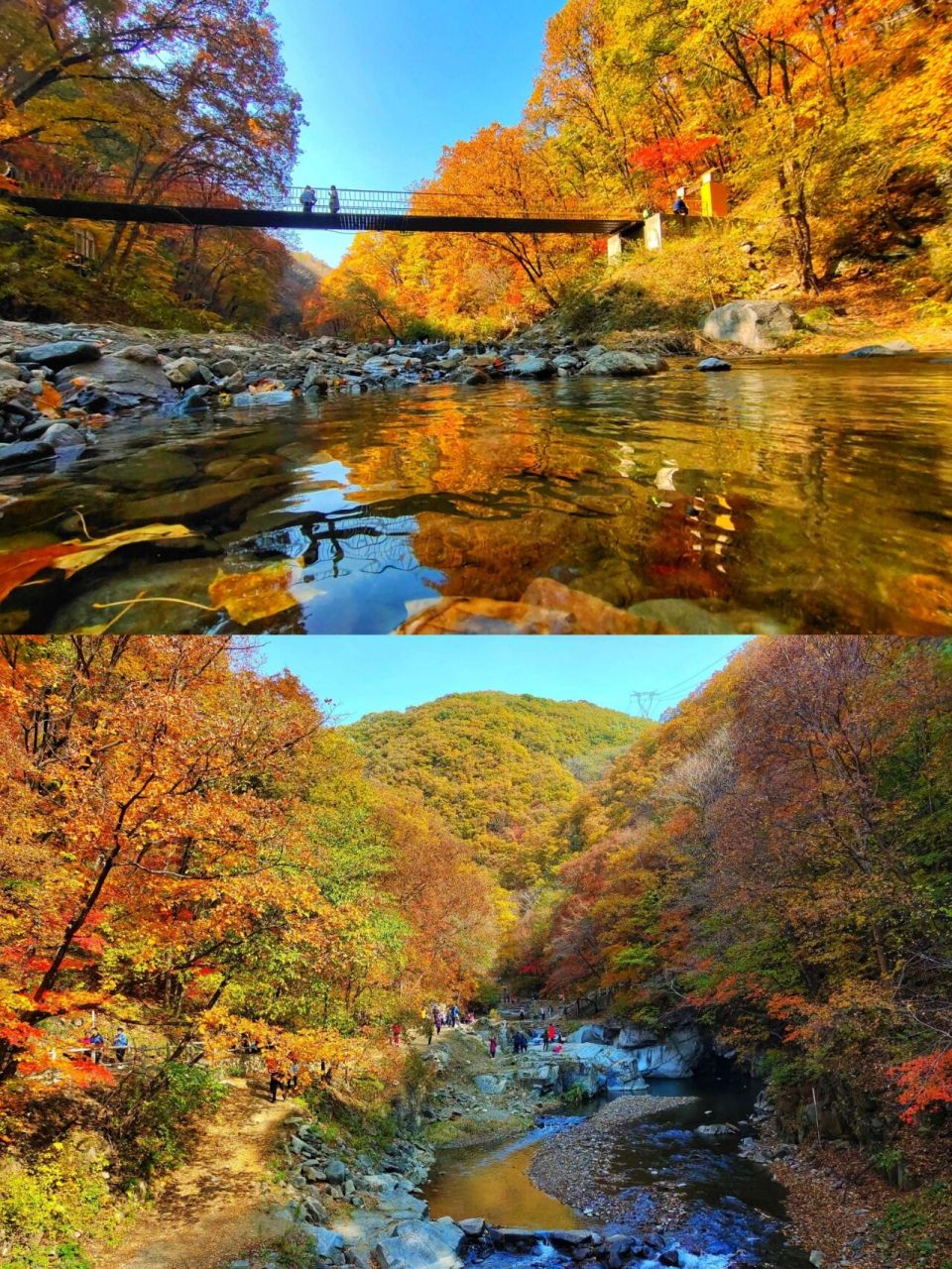漫山红叶丨辽宁抚顺—清原筐子沟森林公园.