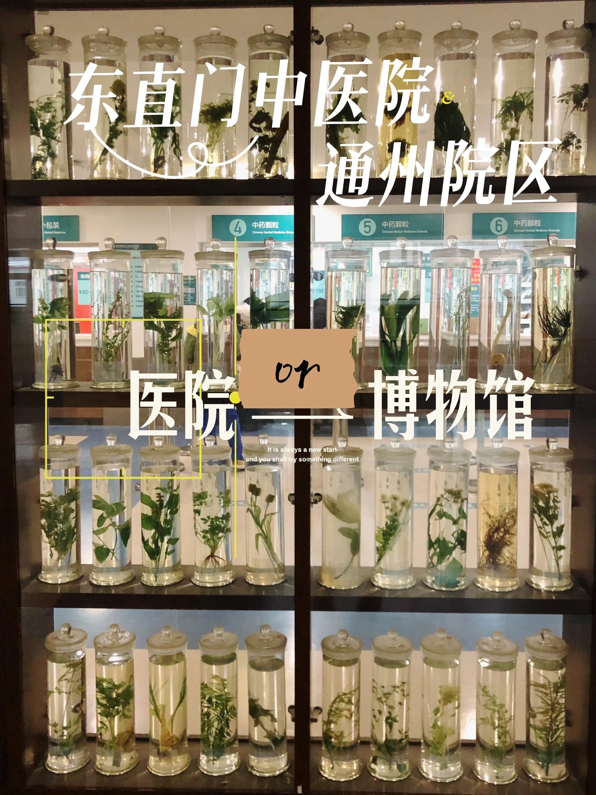 包含北京东直门中医院、通州区网上预约挂号,预约成功再收费的词条 包含北京东直门中医院、通州区网上预约挂号,预约成功再收费的词条