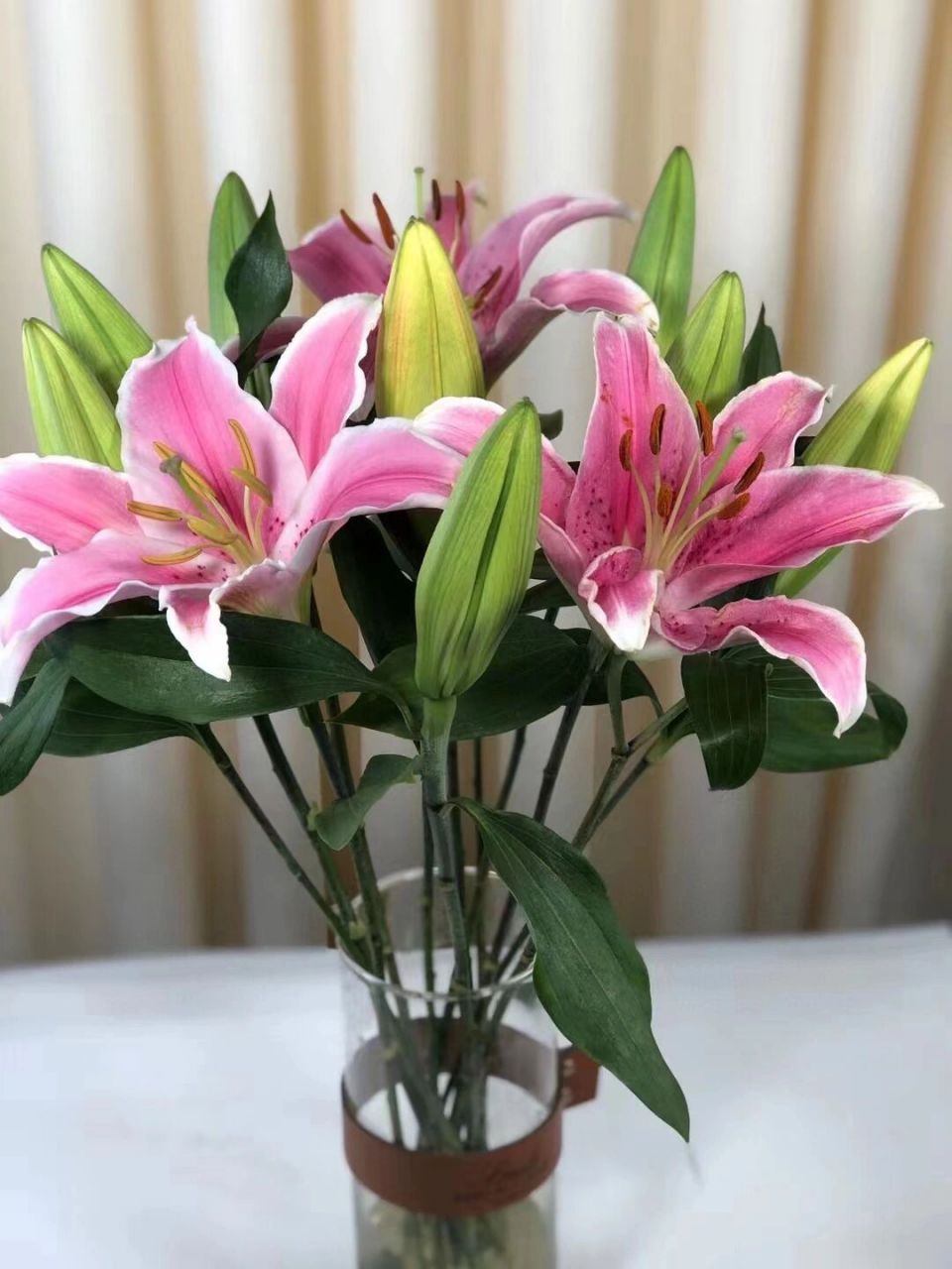 990 双头索尔邦粉百合39.990冷链 一扎10支