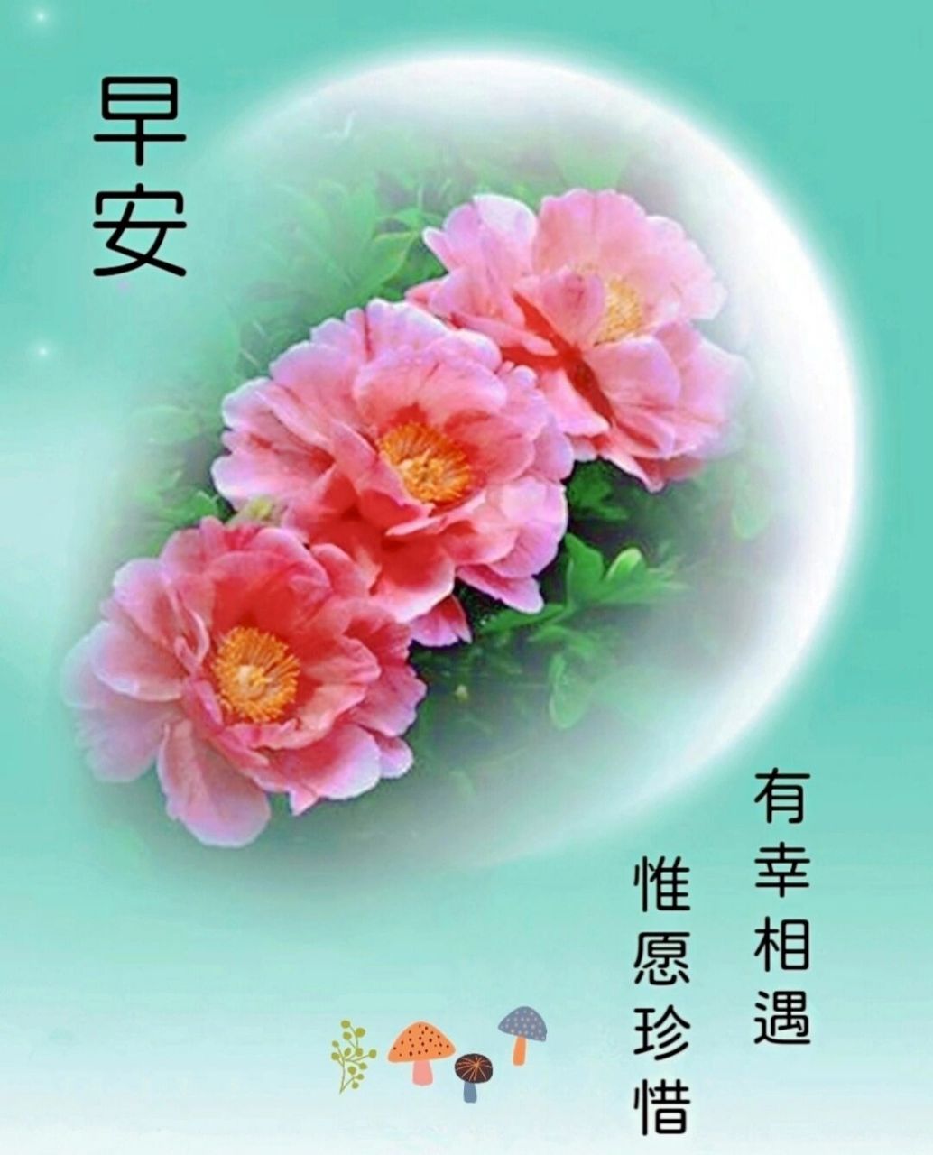 早安问候图片 有幸相遇,惟愿珍惜; 遇见真你,还见真我!