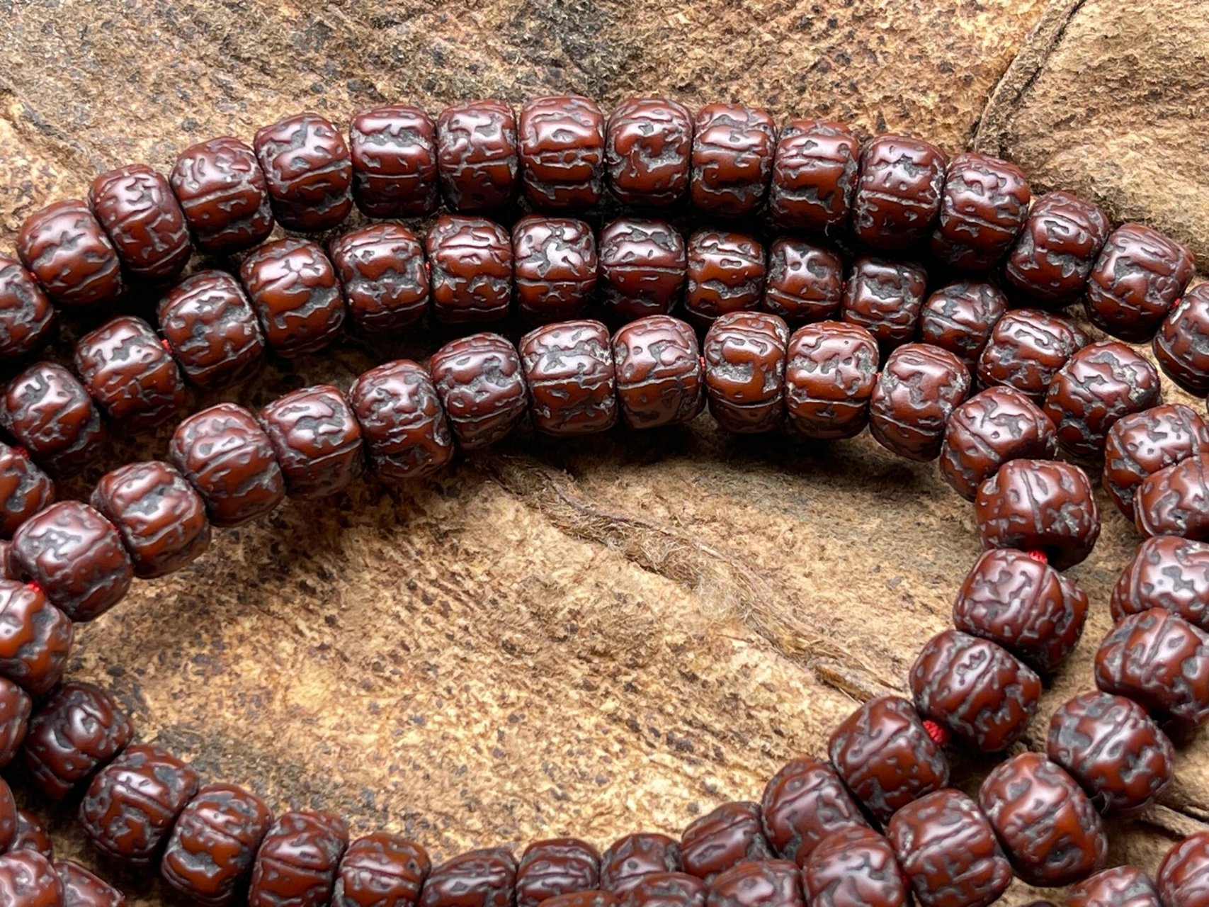 藏区老金刚菩提,喜欢的不要错过