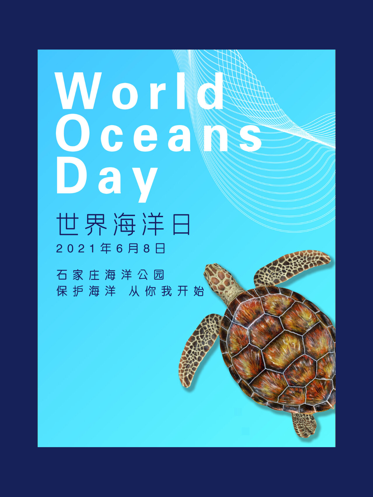 海报设计|世界海洋日world ocean day