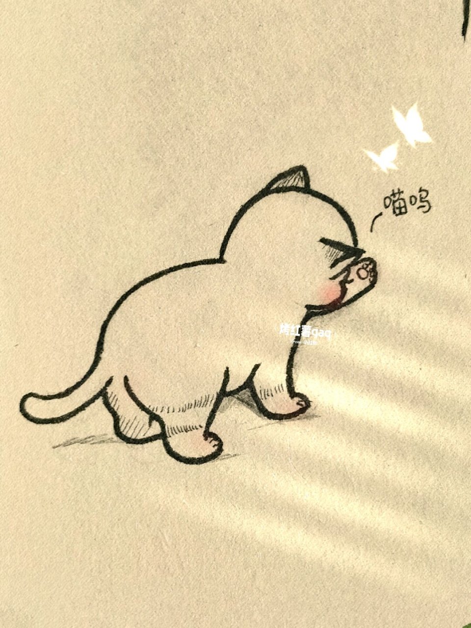 探出爪爪#画个简笔画# #简笔画# #简笔画教程# #可爱简笔画# #猫咪