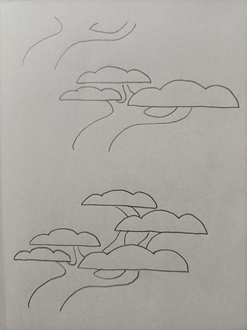 简笔画(217)松树 坚持,加油^0^~!