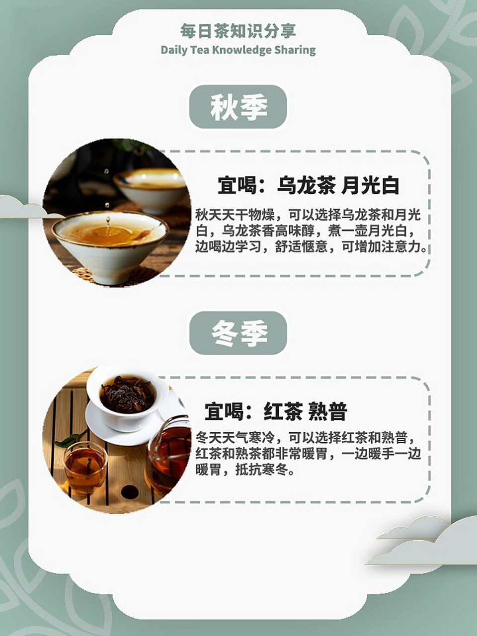 卿年|适合学生党喝的茶95 学生党喝茶好处多多,不