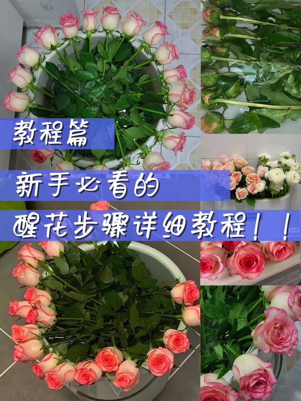 保姆级醒花教程,手把手教你醒花94 宝贝们是不是