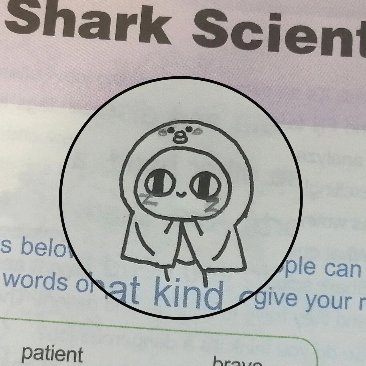 红小豆简笔画第三弹 红小豆就是最可爱滴 p2是之前滴一个投票