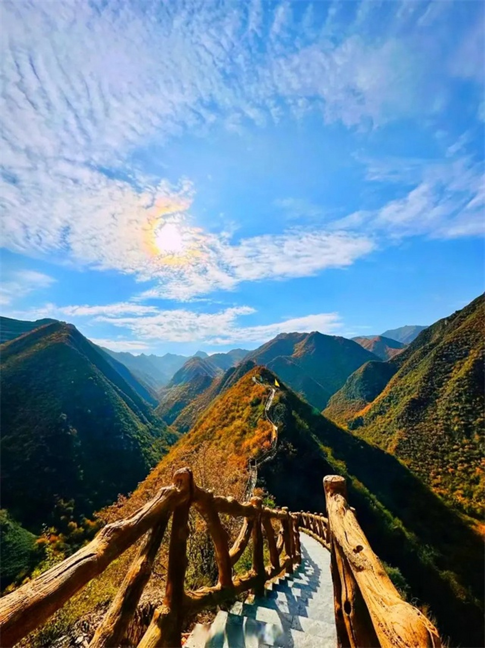 甘肃秋天有多美# 秋季的临夏州永靖县关山乡抱龙山,漫山红叶,彩林