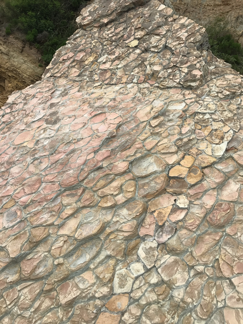 全球仅存的两个龟背石,大连有一个 龟背石,就是石头长的像乌龟的壳,一