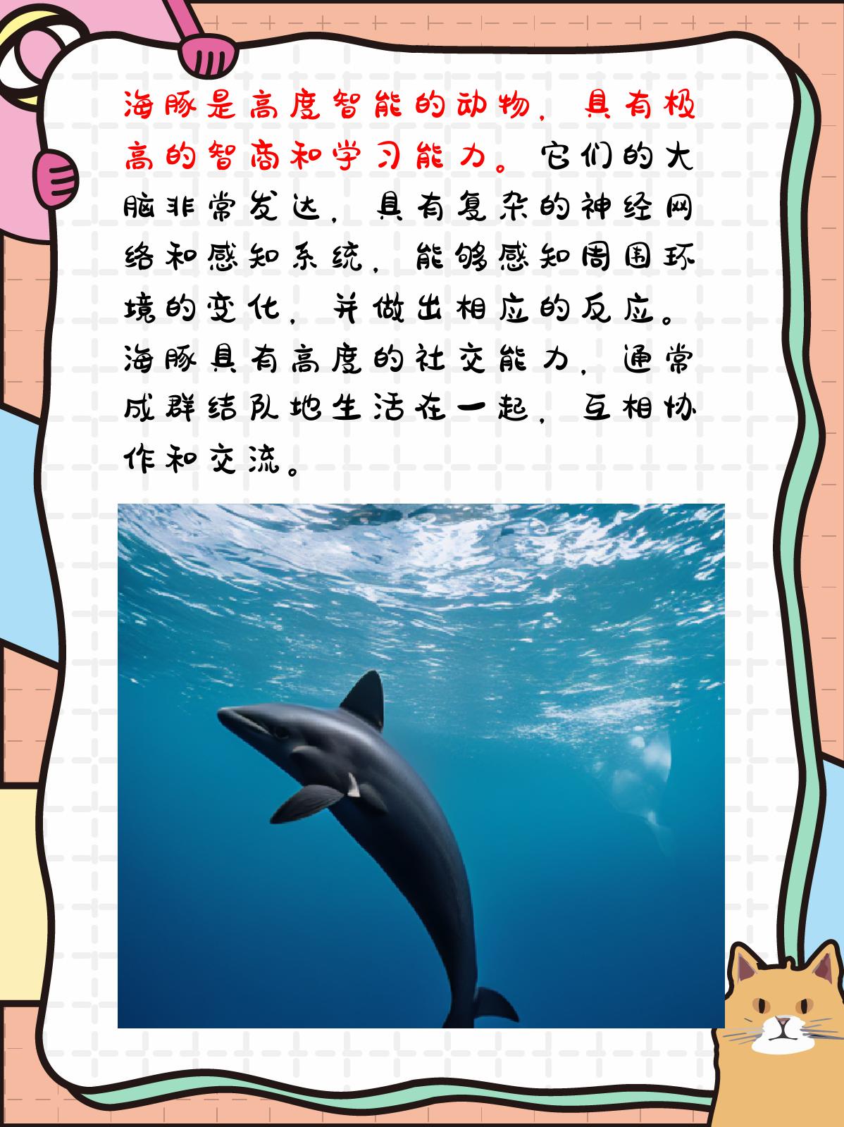 海豚的资料有哪些