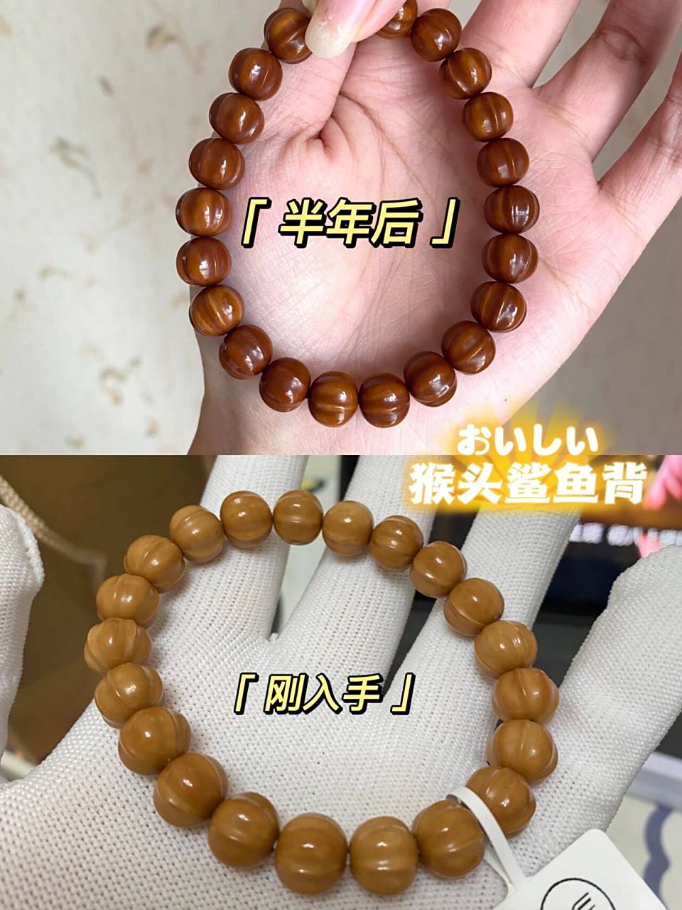 猴头鲨鱼背把玩半年的走色 三月的最后一天到手的鲨鱼背猴头,已经满