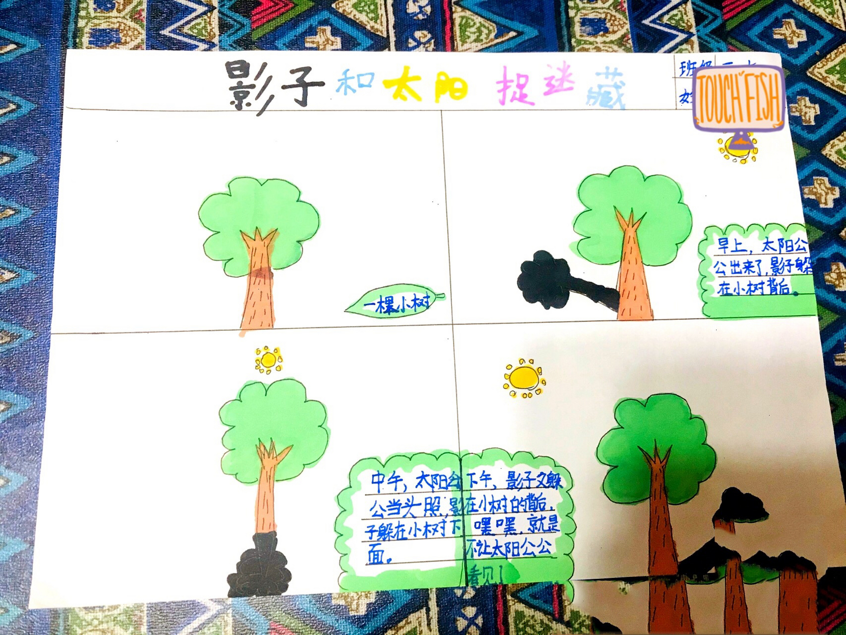影子的变化规律手抄报 三年级 关于太阳与大树99影子变化规律手抄报