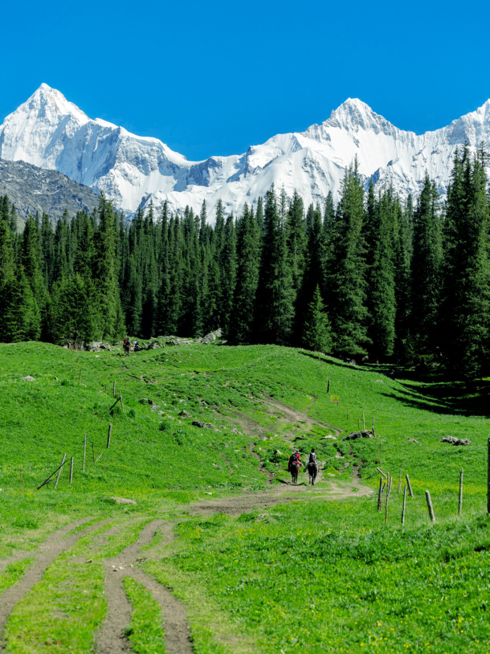 真的太喜欢这里了 为什么我夏天要去伊犁 要去新疆!