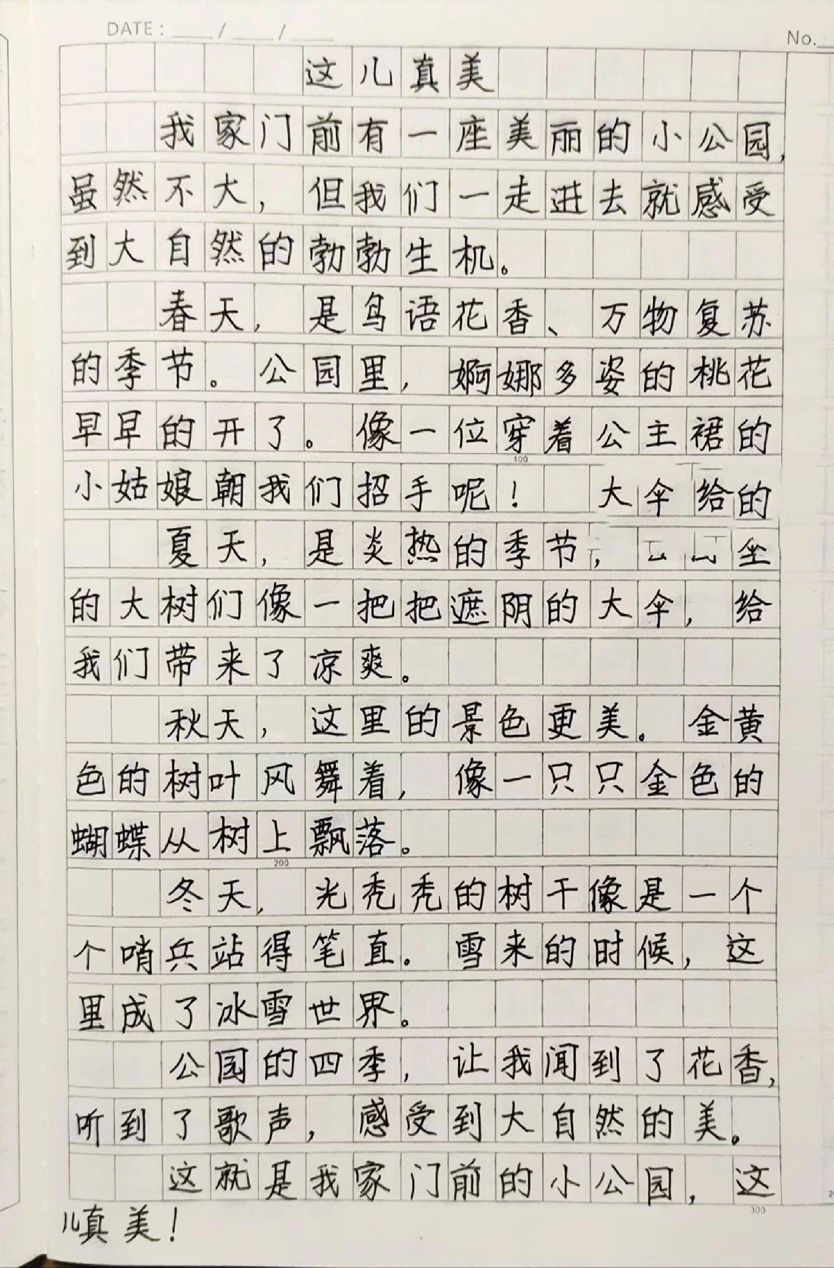 小学生作文《这儿真美》