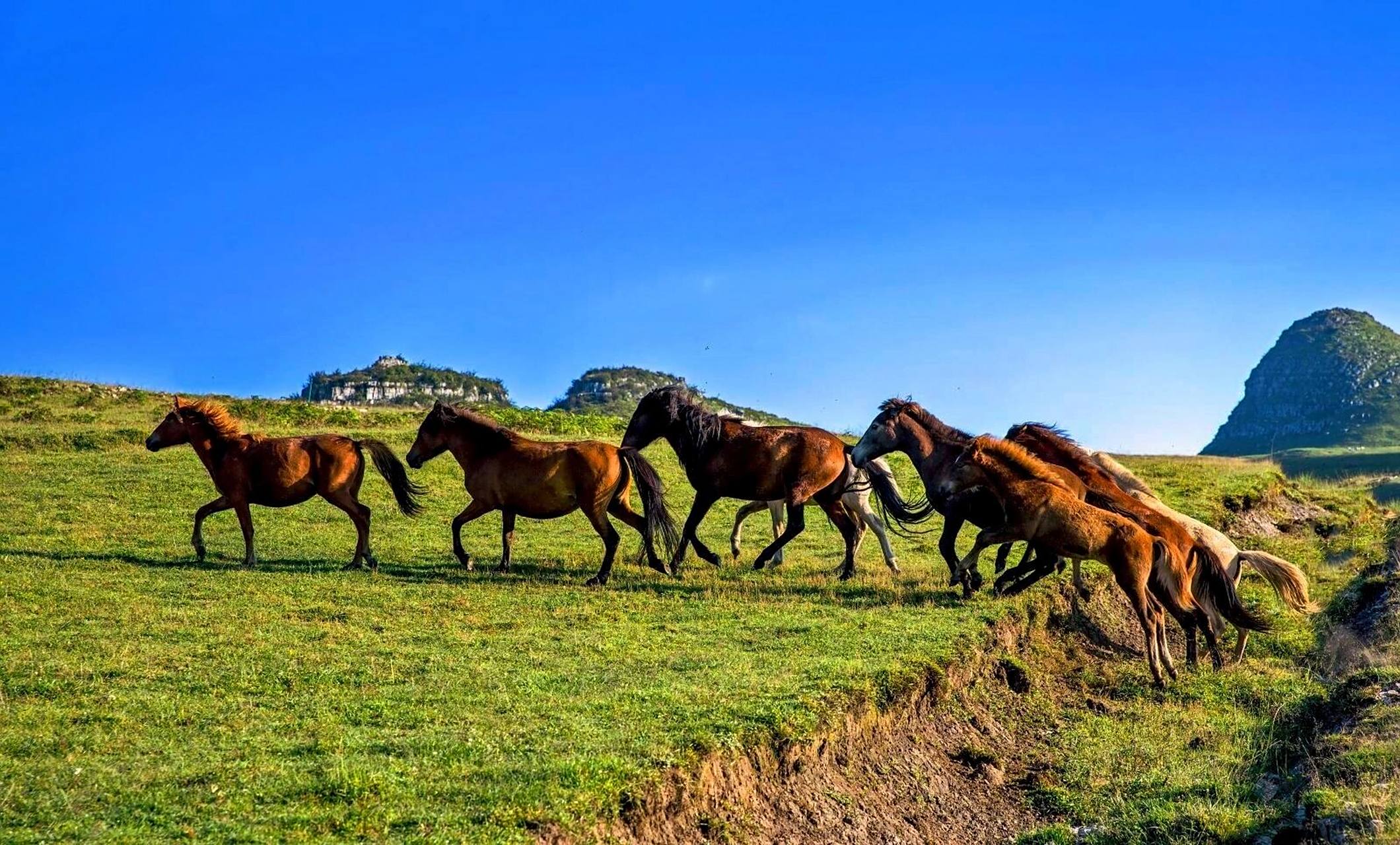 【每日一景】阿西里西大草原—解锁星空露营 94"没有一个生命因为无