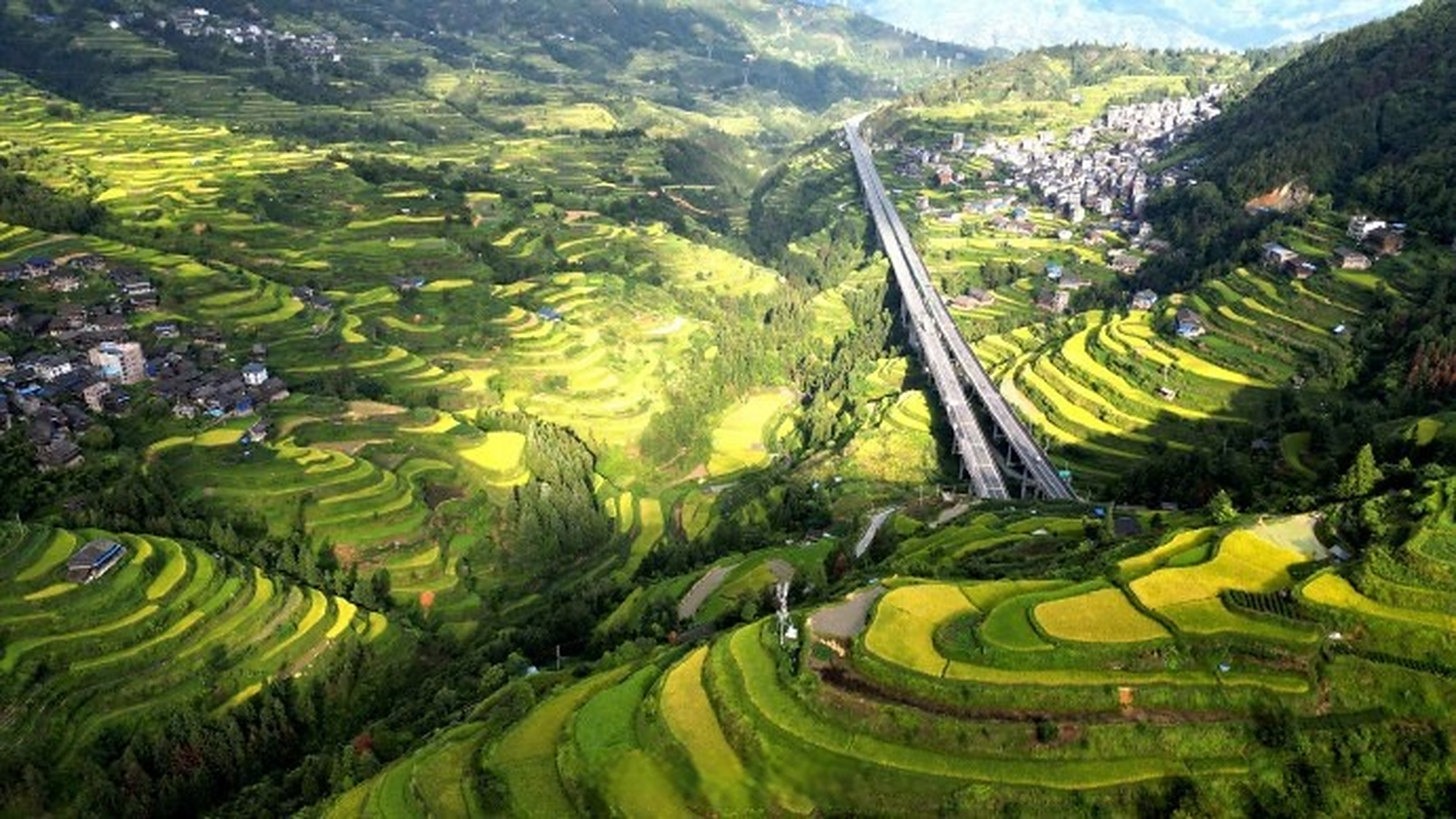 广西梯田一眼治愈强迫症#】秋色正浓,广西三江县独峒镇的高山梯田