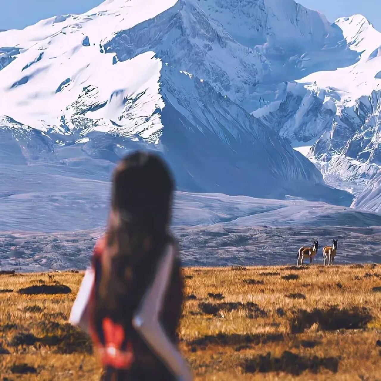 女生氛围感头像,风景女头 有钱有颜才能掌控世界,也许不能掌握全世界