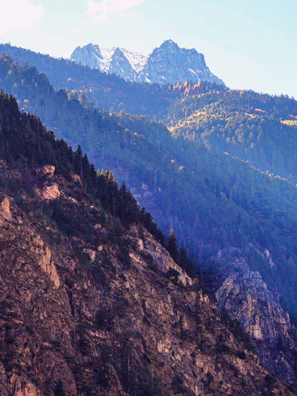一边是稀石碎块落叶铺就的小路,一边是湍急的峡谷溪流.