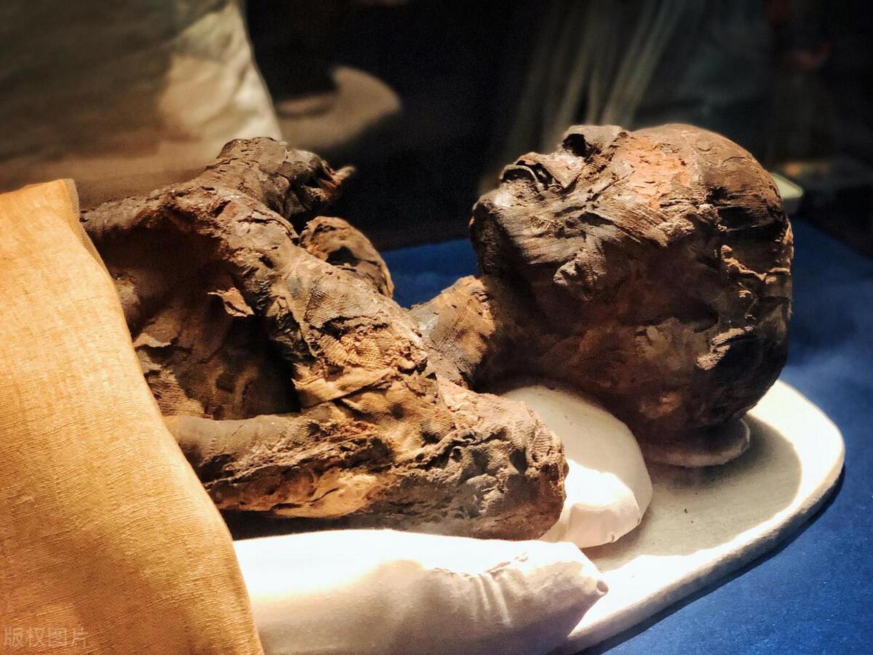 湖南老伯惊人发现:千年不腐的"木乃伊"古墓震撼世界 三 专家们在打开