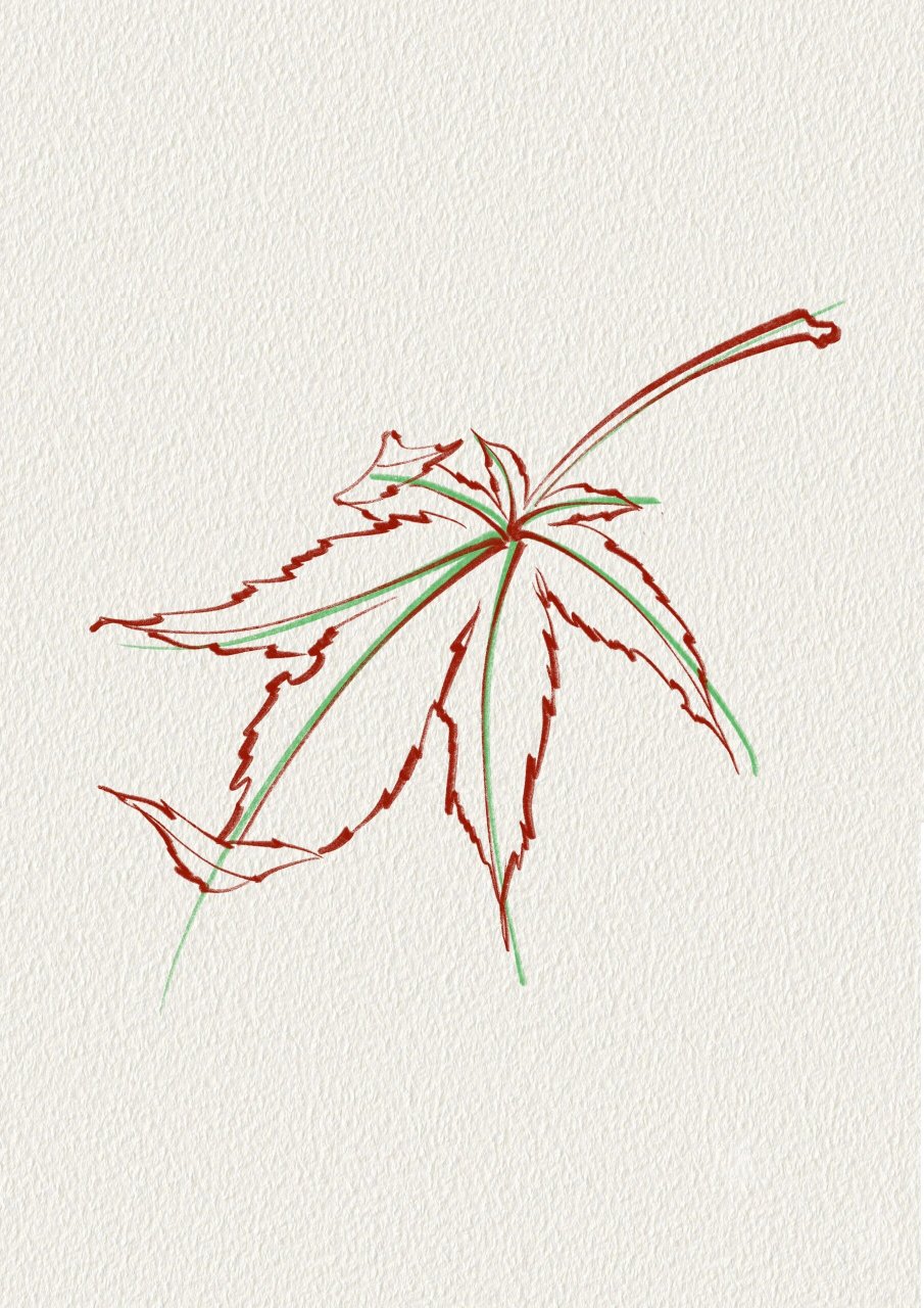 传统枫叶纹身手稿图片
