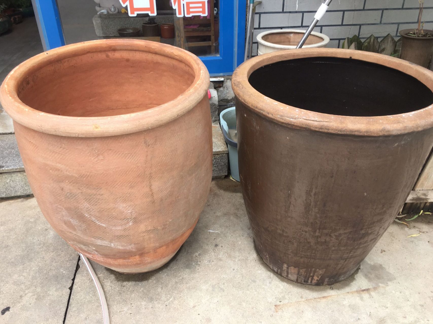 老水缸 大鱼缸 古法养鱼 莲花缸