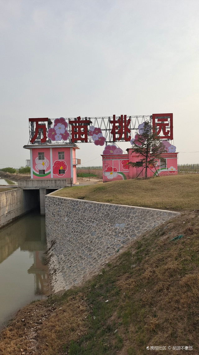 超强攻略_玩转原阳万亩桃园桃花基地之行