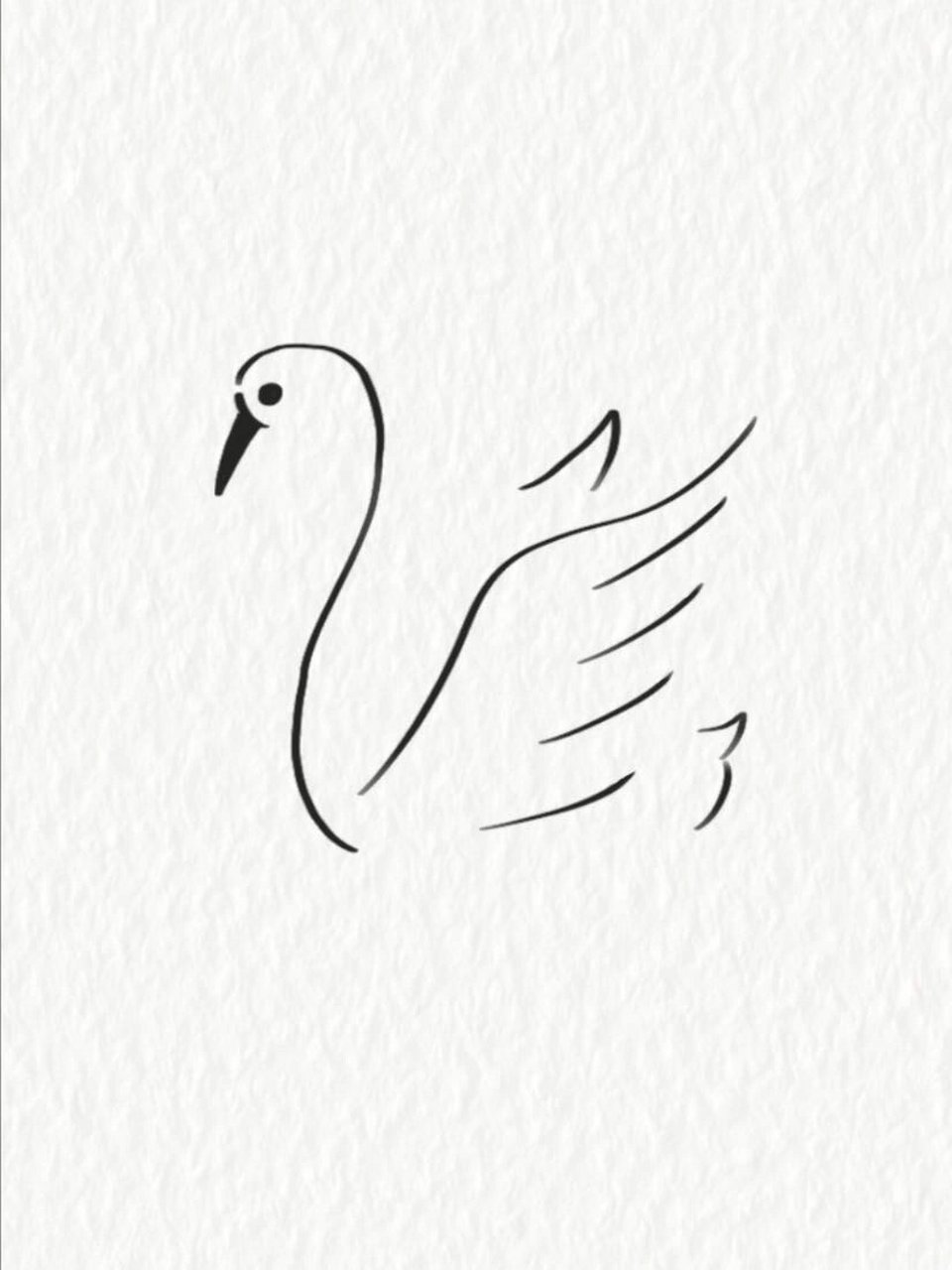 白天鹅的简单画法图片