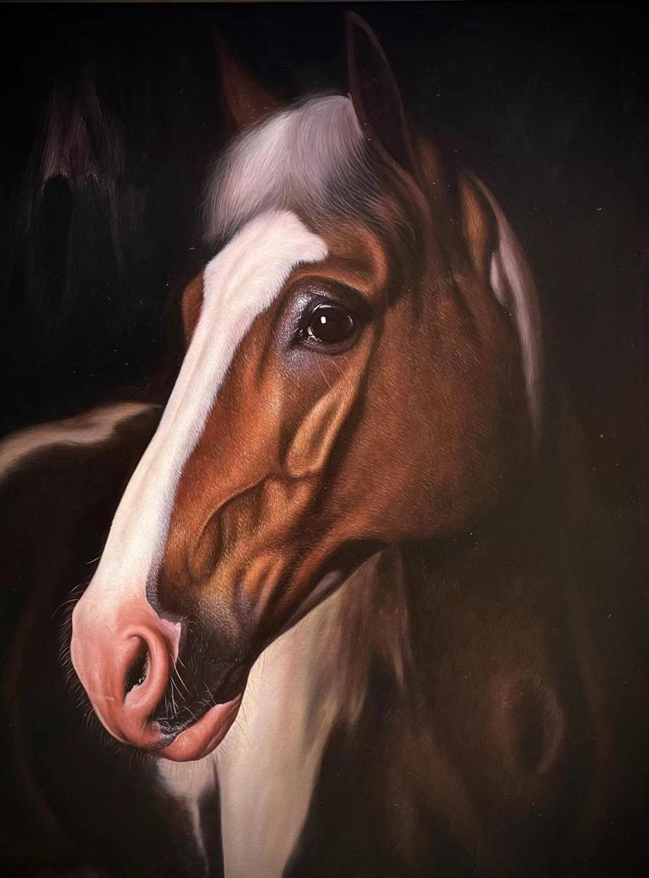 这些年画过的骏马系列油画作品.