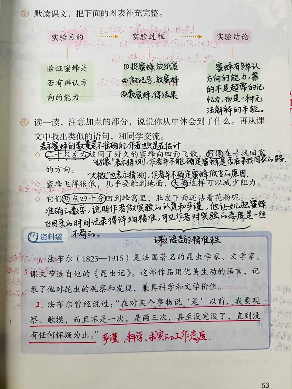 36615下备课笔记/《蜜蜂》93 #三年级语文下册# #语文笔记