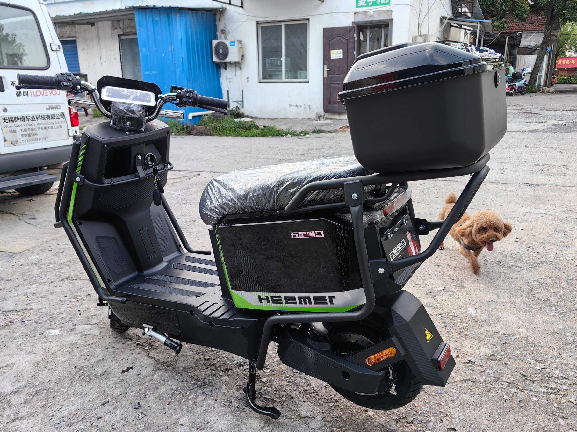 方牛 国标车极速版 双碟 护杠带尾箱 60—72/20  高速电机 时速70迈