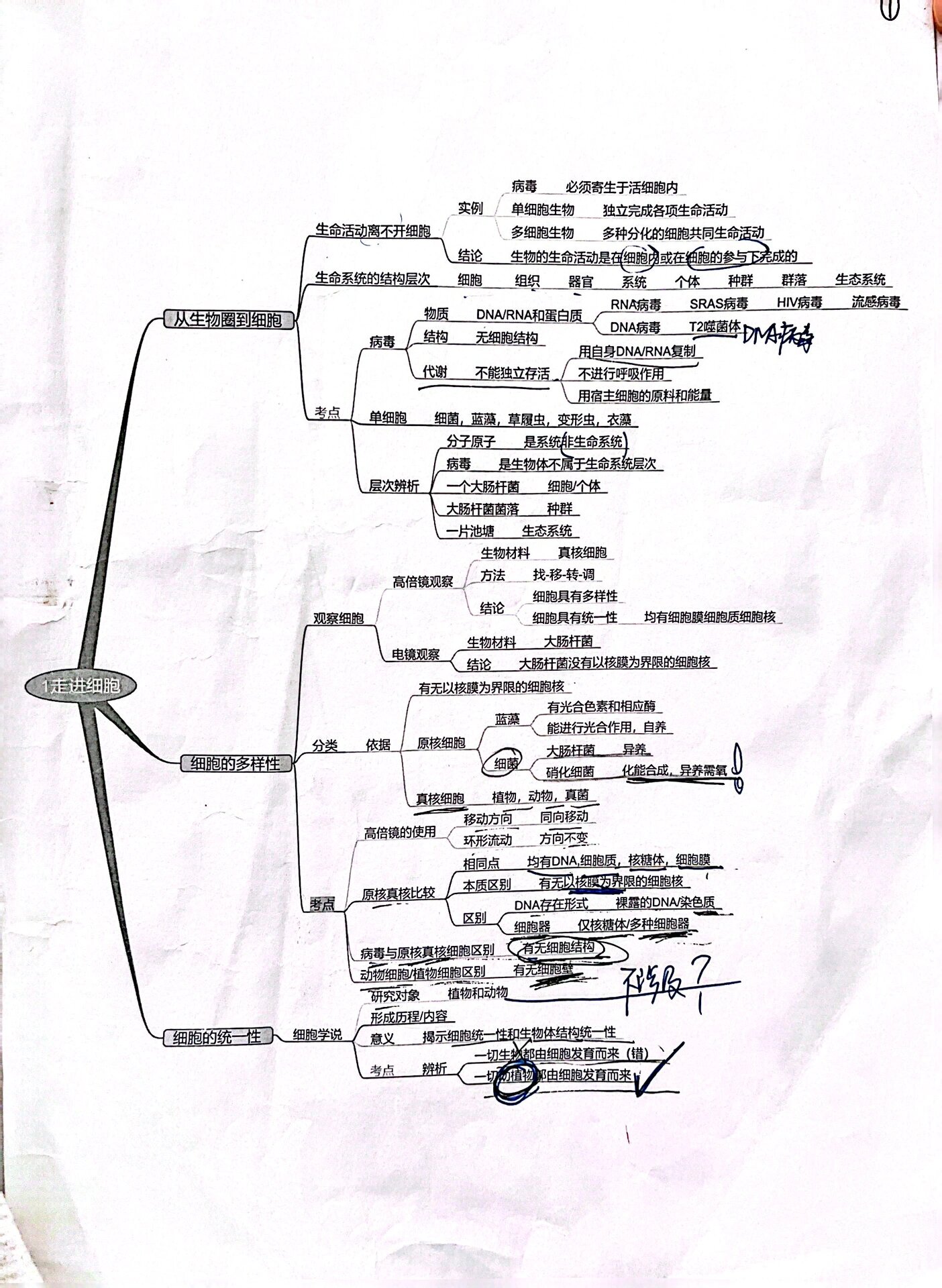 关于高三作文思维导图（结构框架版）的信息