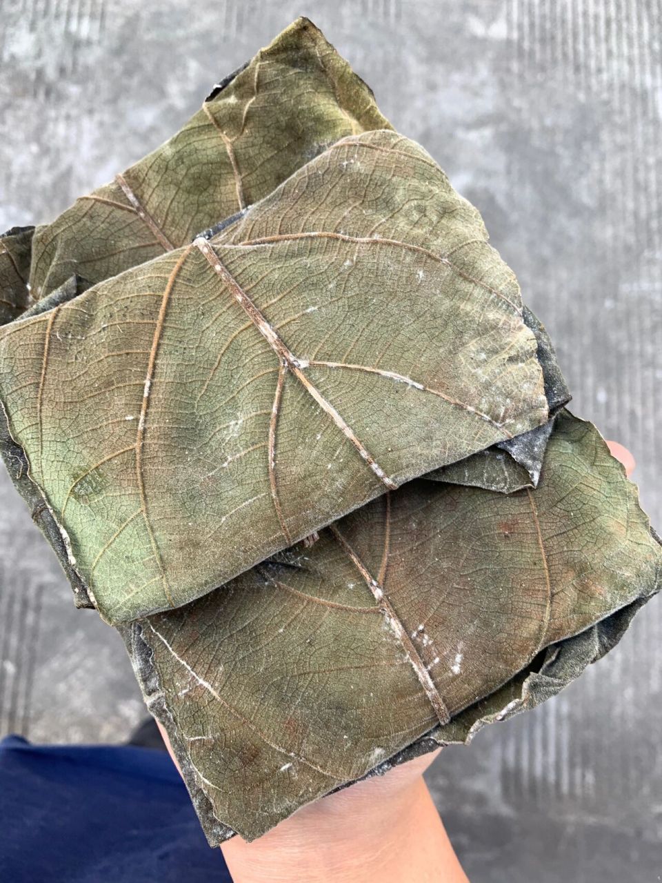 德宏特产叶子豆豉 !它很丑可是真的很好吃!