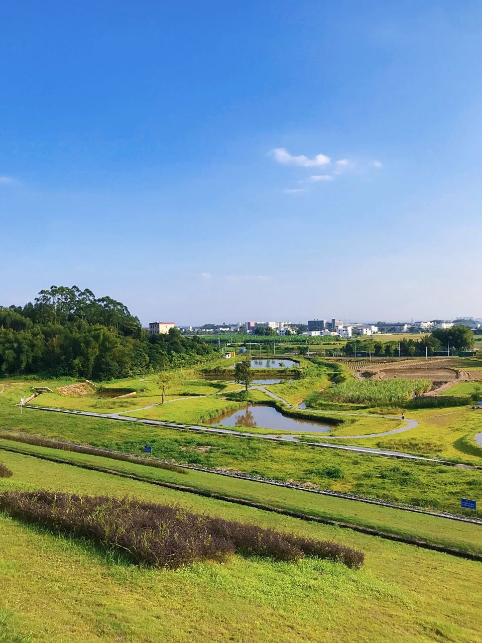 博罗大洞水库|免费绝美环湖绿道 很出片!