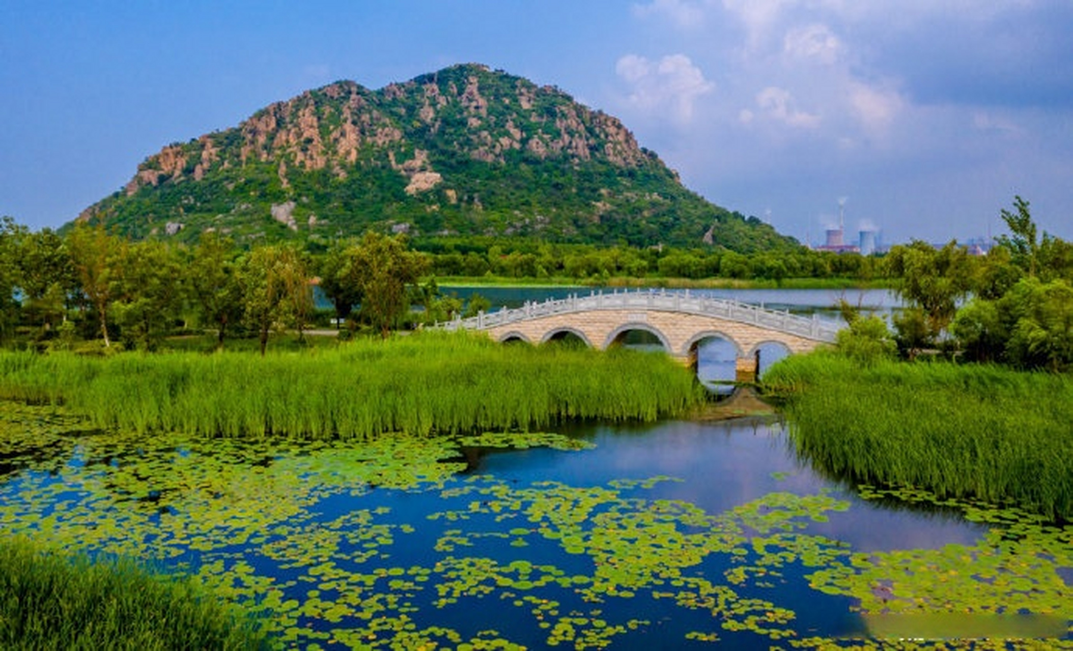 济南华山湖湿地公园图片