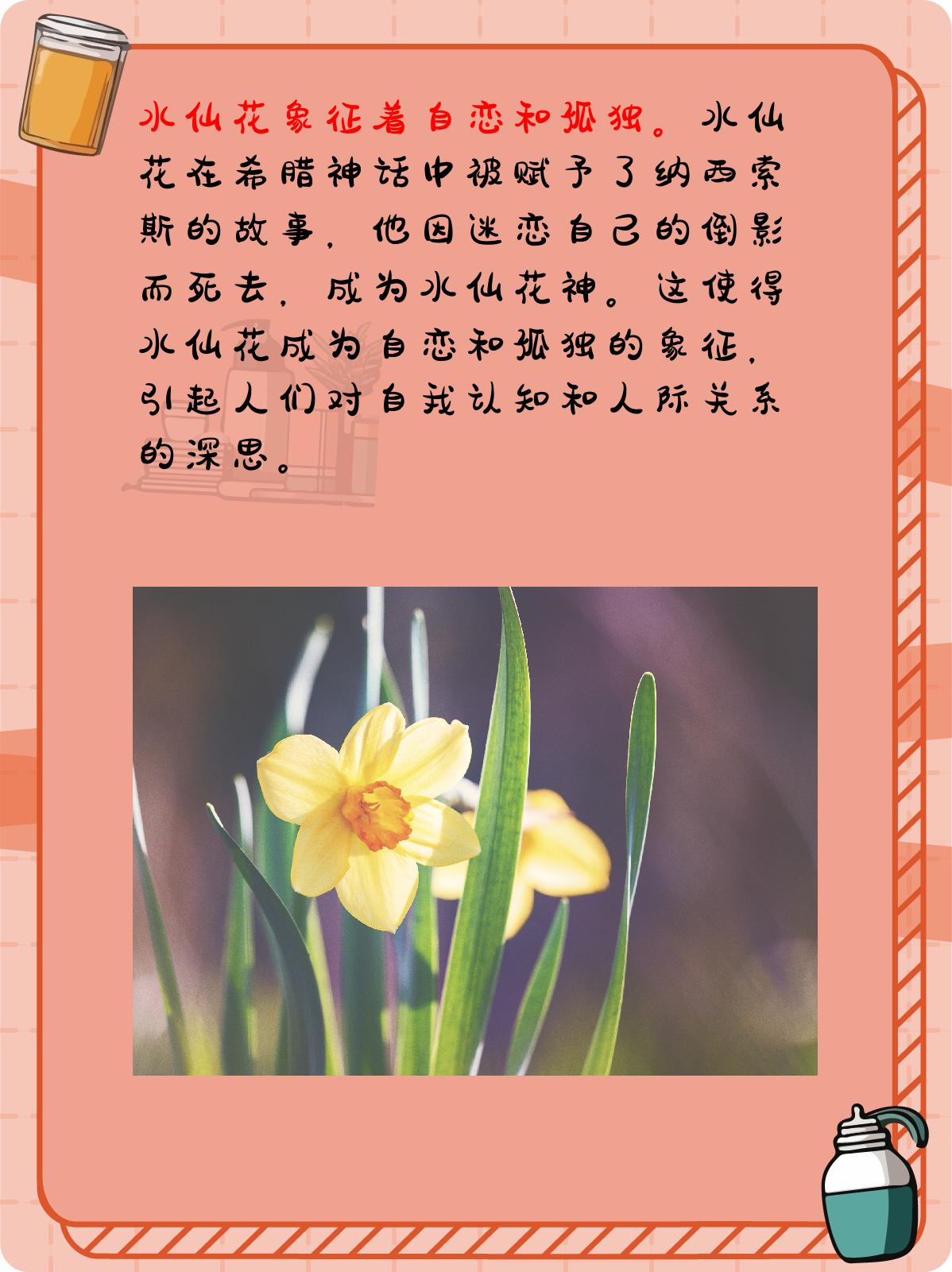 水仙花的寓意和象征