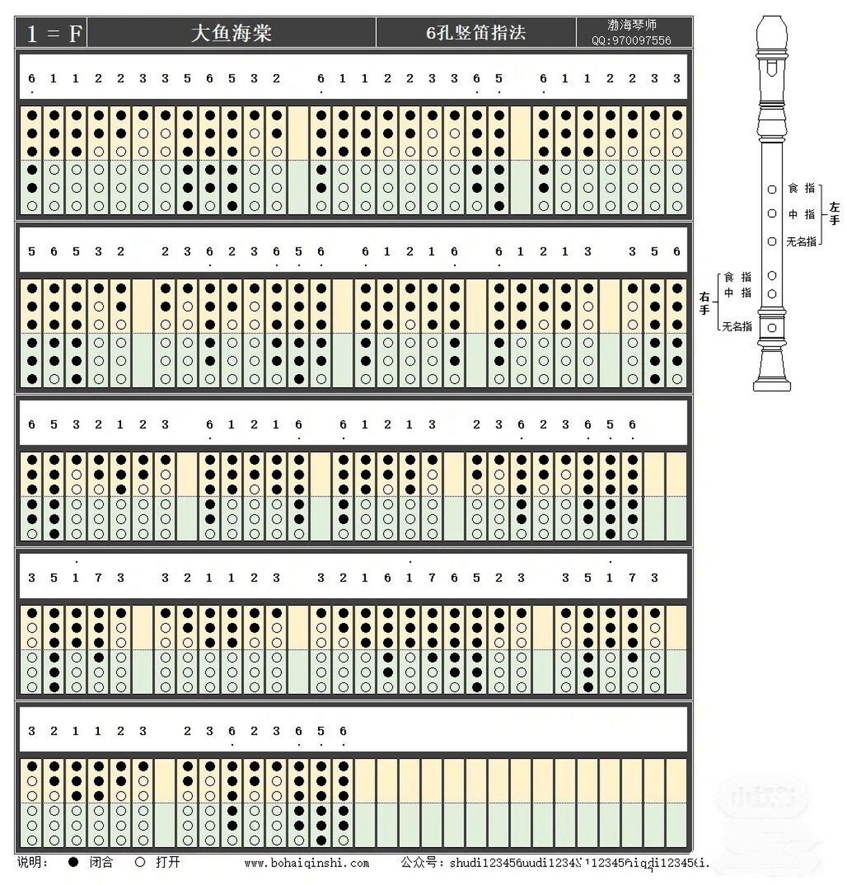 六孔竖笛大鱼怎么吹图片