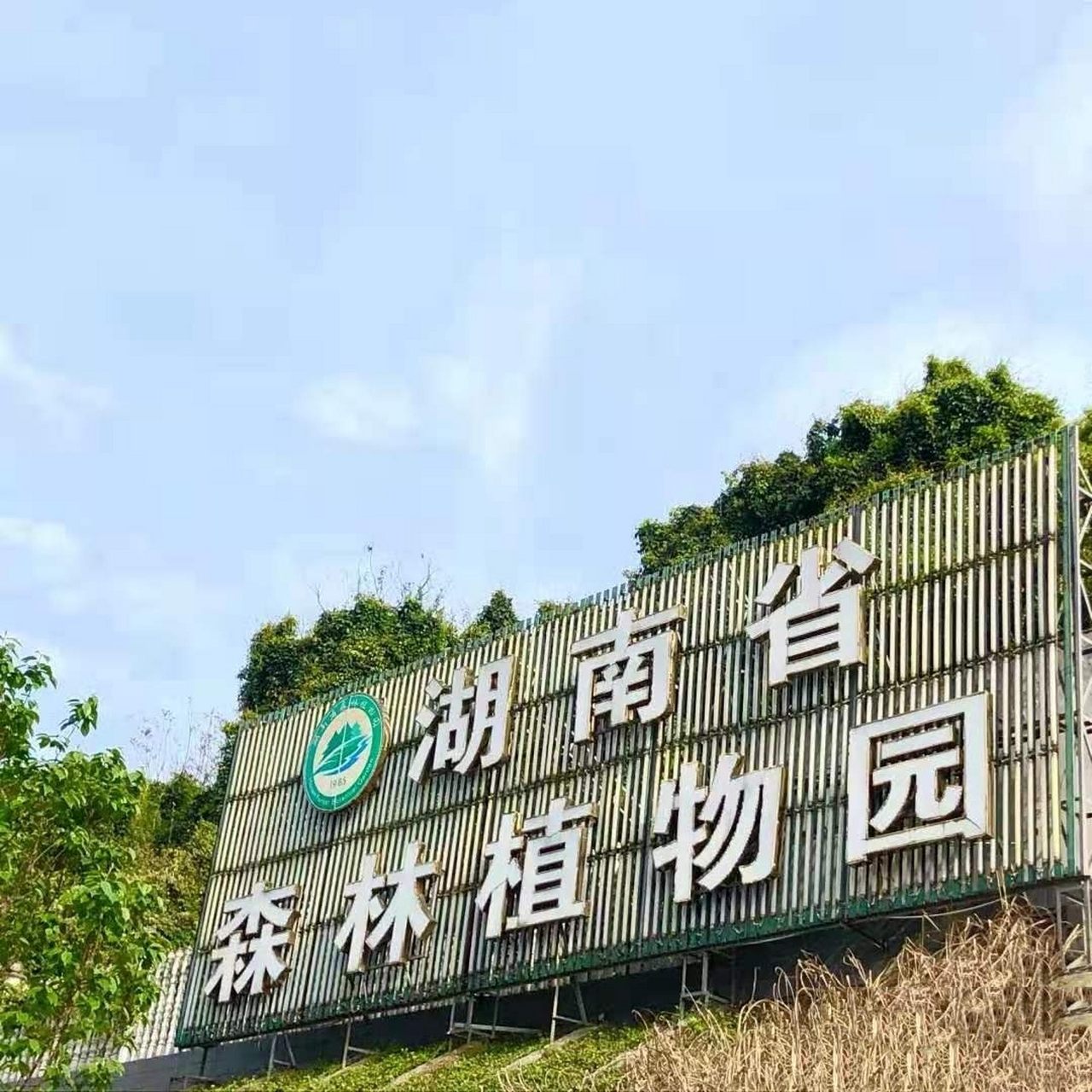 湖南植物园门票图片