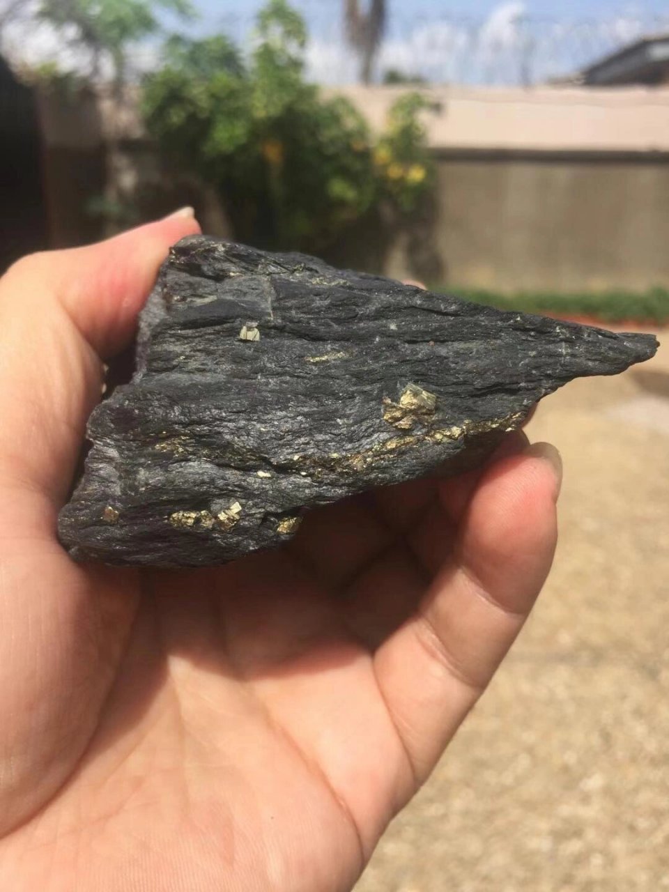 非洲金矿的黄金原石 第一次见