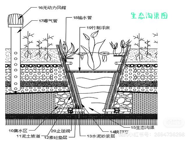 生态植草沟剖面图图片