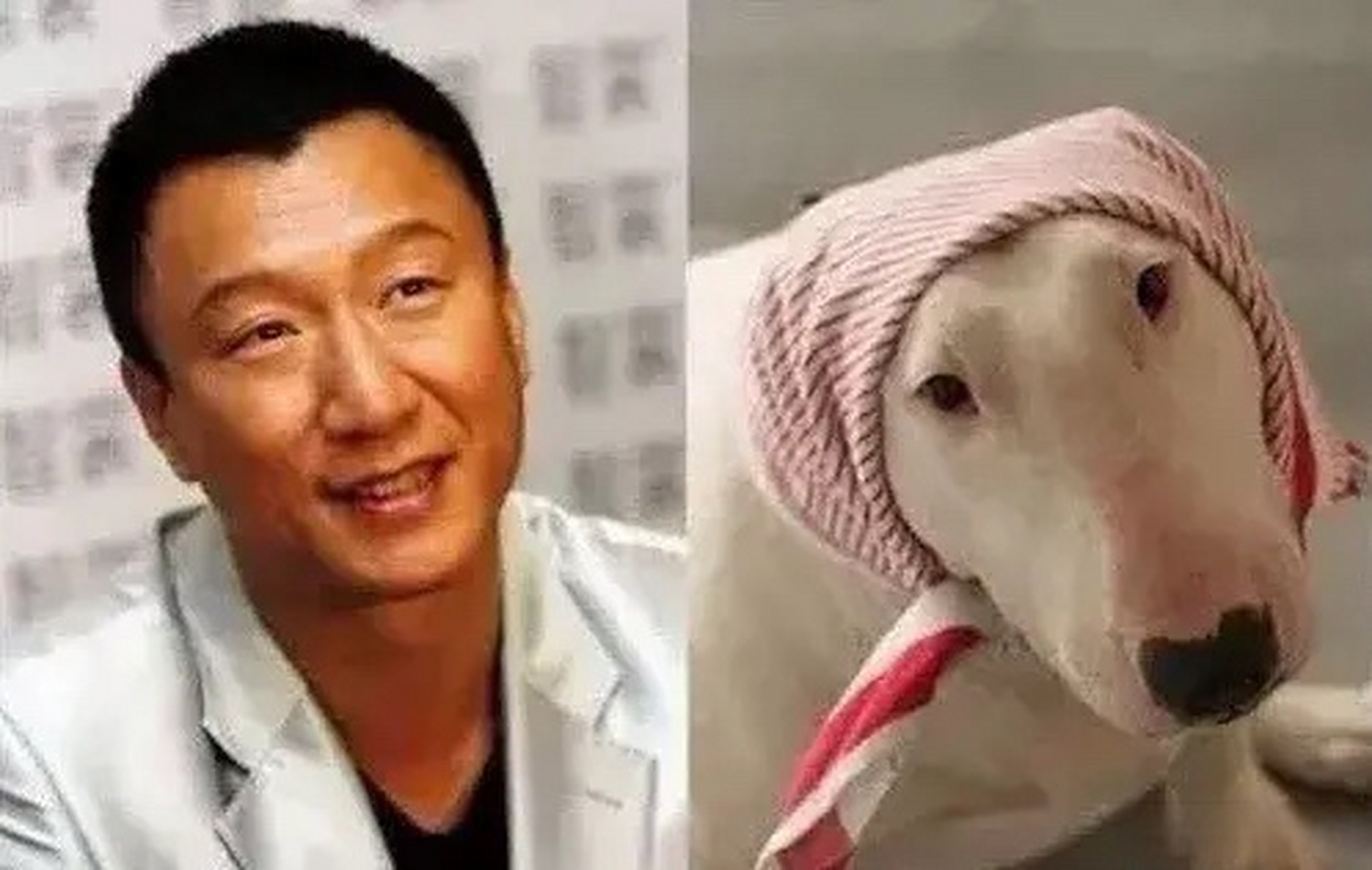 孙红雷就是狗子界的大明星吧?[笑哭][笑哭]