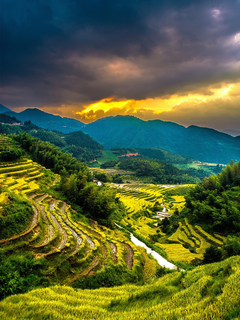 小众|江西遂川桃源梯田 全球十大最美梯田 7815白云深处,邂逅梯岭