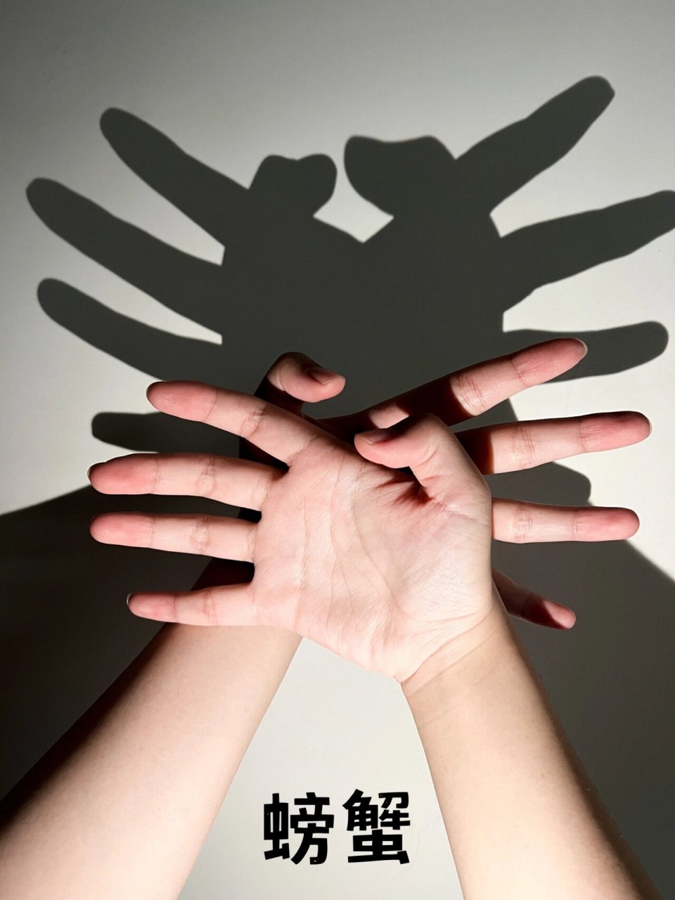 趣味儿童手影游戏94快关上灯跟宝宝一起玩吧 小时候没学会的动物