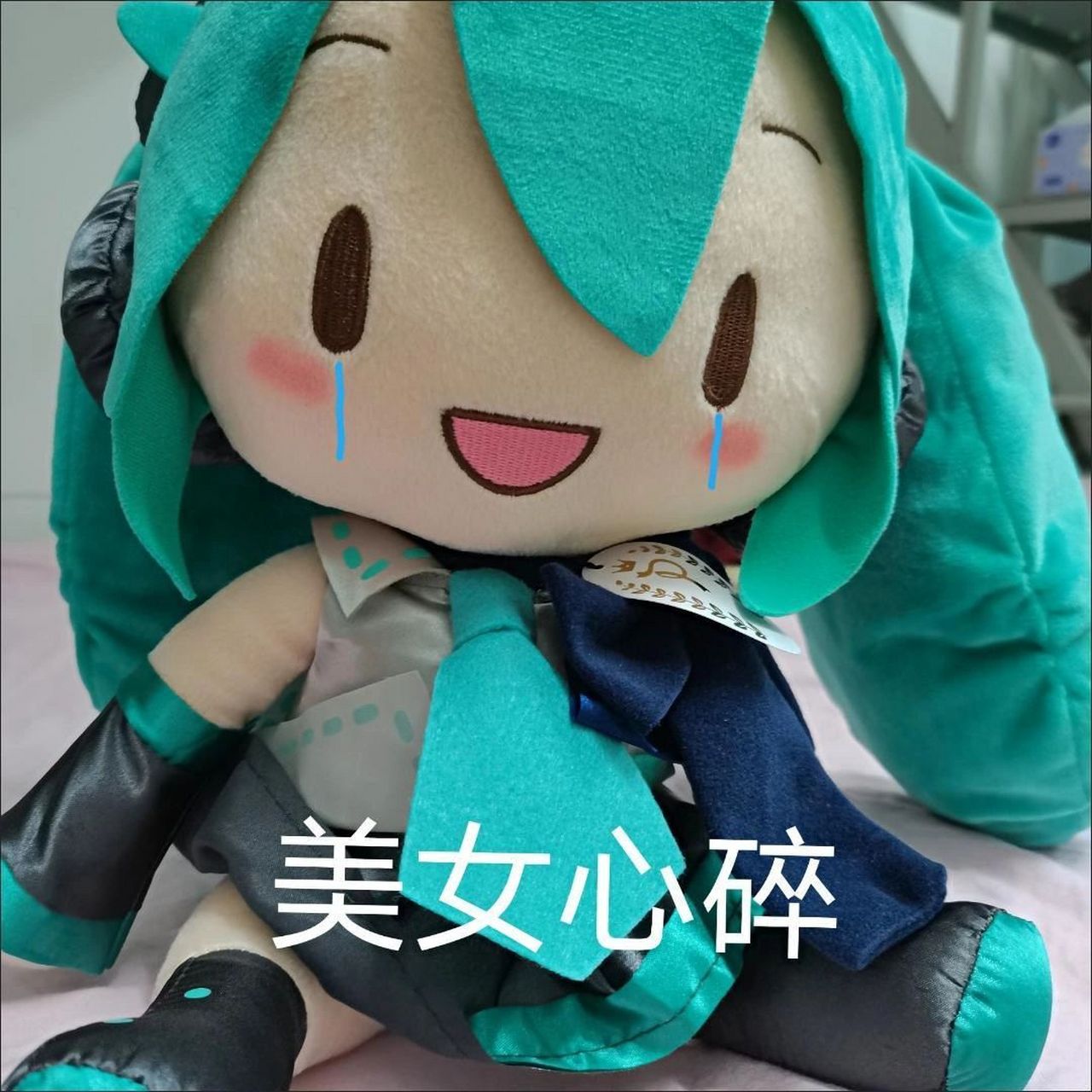 雪初音fufu表情包图片