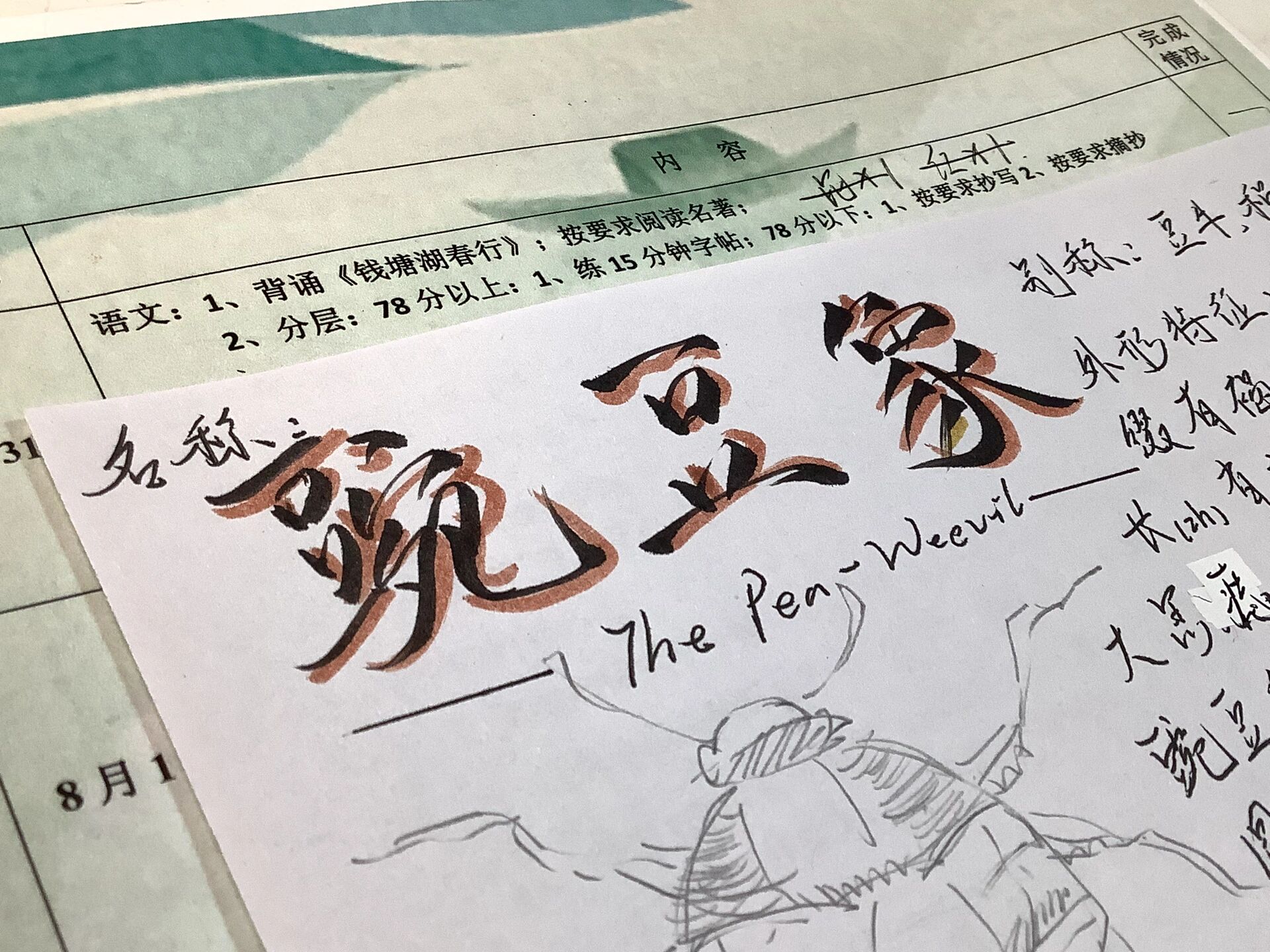 昆虫记🪲